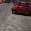 Pioppo 2008 (61)